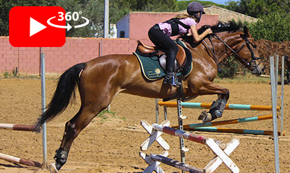 Clases de salto y competición