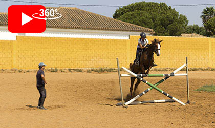 Clases de perfeccionamiento y salto
