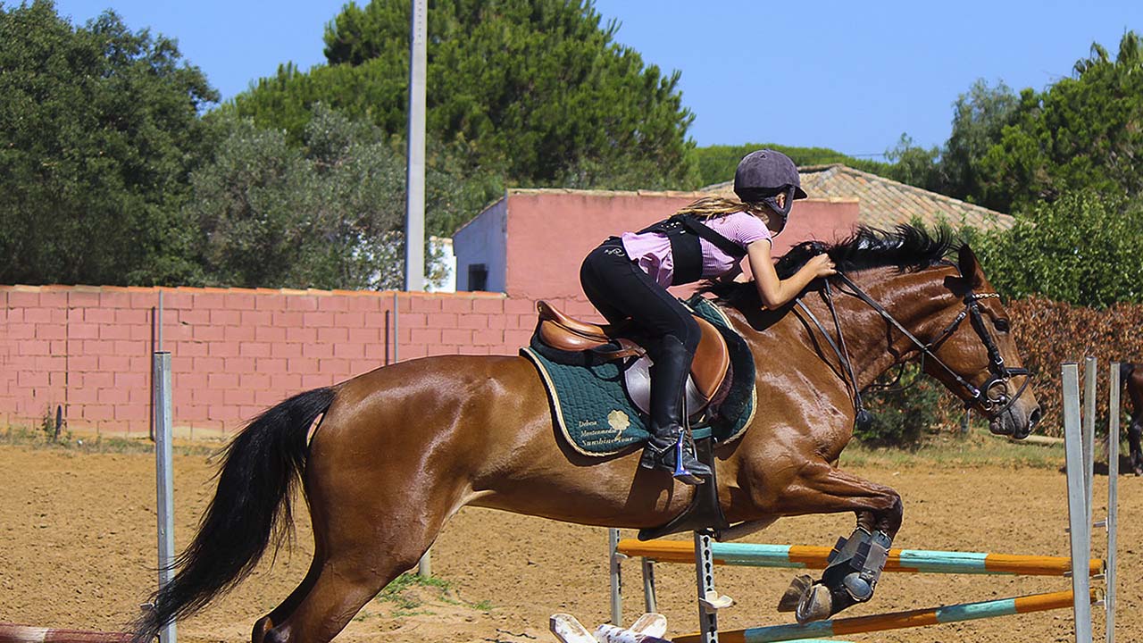 Clases de salto, iniciación y perfeccionamiento
