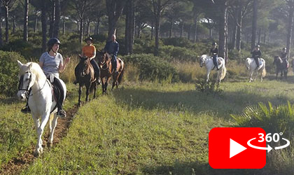 Rutas al bosuqe