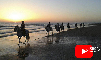 Paseos a la playa y al bosque