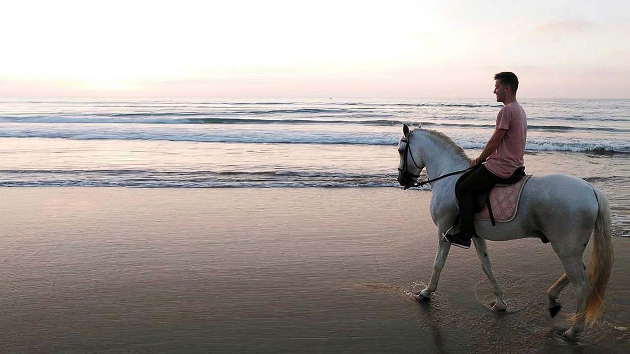 Paseos por la playa y por el bosque